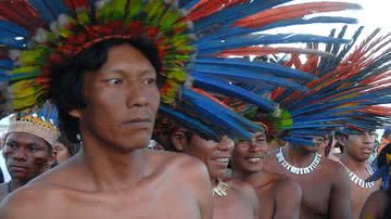 Indígena da etnia Bororo-Boe - Wikimedia Commons