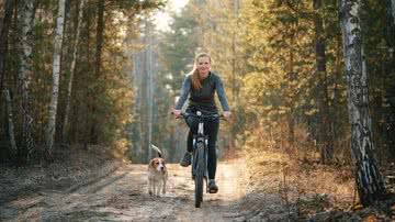 Cachorros costumam perseguir ciclistas - Shutterstock