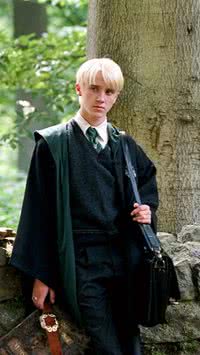 A história de Draco Malfoy 
