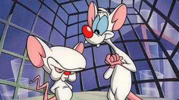 Pinky e Cérebro, desenho de 1993 - Reprodução/ Warner Bros.