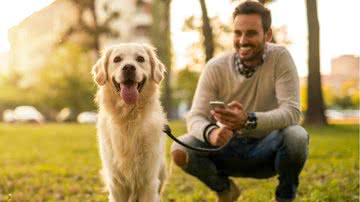 Personalidade do cachorro influencia o comportamento dele - Shutterstock