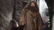 Robbie Coltrane como Hagrid em 'Harry Potter e a Câmara Secreta' - Reprodução/ Warner Bros.