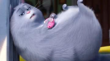A gata Chloe em cena do filme 'Pets - A Vida Secreta dos Bichos' - Divulgação/ Universal Pictures