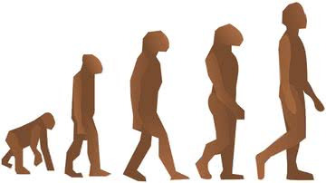 Entenda como ocorreu a evolução do ser humano - Pixabay