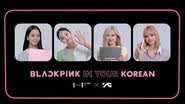 Jennie, Jisoo, Lisa e Rosé para divulgação do "BLACKPINK IN YOUR KOREAN" - Divulgação/ Hybe Edu