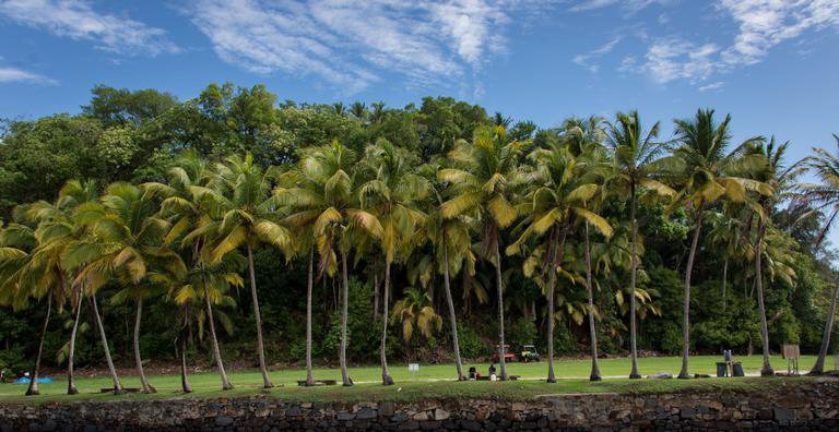 Paisagem da Guiana Francesa - Getty Images