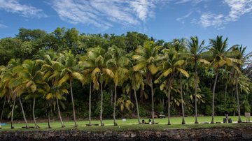 Paisagem da Guiana Francesa - Getty Images