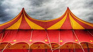 Saiba mais sobre o mundo mágico do circo - Reprodução/Getty Images