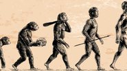 Entenda como ocorreu a evolução do ser humano - Divulgação