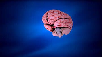 Representação do cérebro humano - Pixabay
