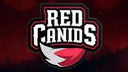 Logo do time RED Canids Kalunga - Divulgação/RED Canids Kalunga