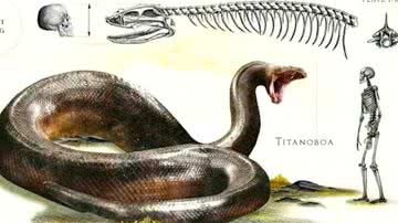 Representação de uma Titanoboa em tamanho real - Divulgação