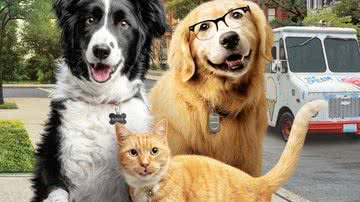 Pôster do filme Como Cães e Gatos 3 - Divulgação