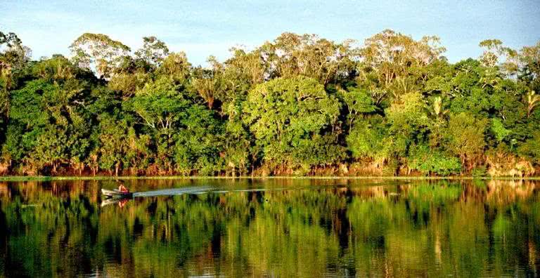 Floresta Amazônica - Wikimedia Commons