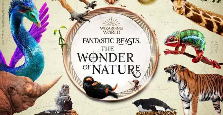 Imagem promocional da exposição Fantastic Beasts: The Wonder of Nature - Divulgação/Museu de História Natural de Londres