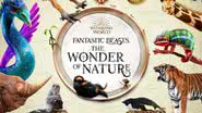 Imagem promocional da exposição Fantastic Beasts: The Wonder of Nature - Divulgação/Museu de História Natural de Londres