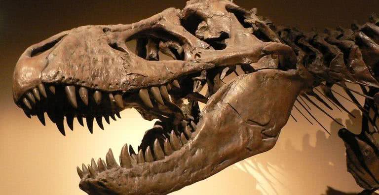 Imagem ilustrativa do fóssil de um dinossauro - Wikimedia Commons