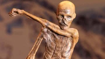Ötzi, o Homem do Gelo - Divulgação