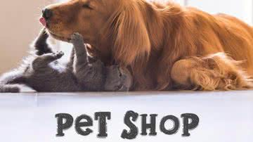 Pet Shop da Amazon: rações, petiscos e muito mais para o seu pet - Reprodução/Amazon
