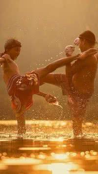 As origens das artes marciais
