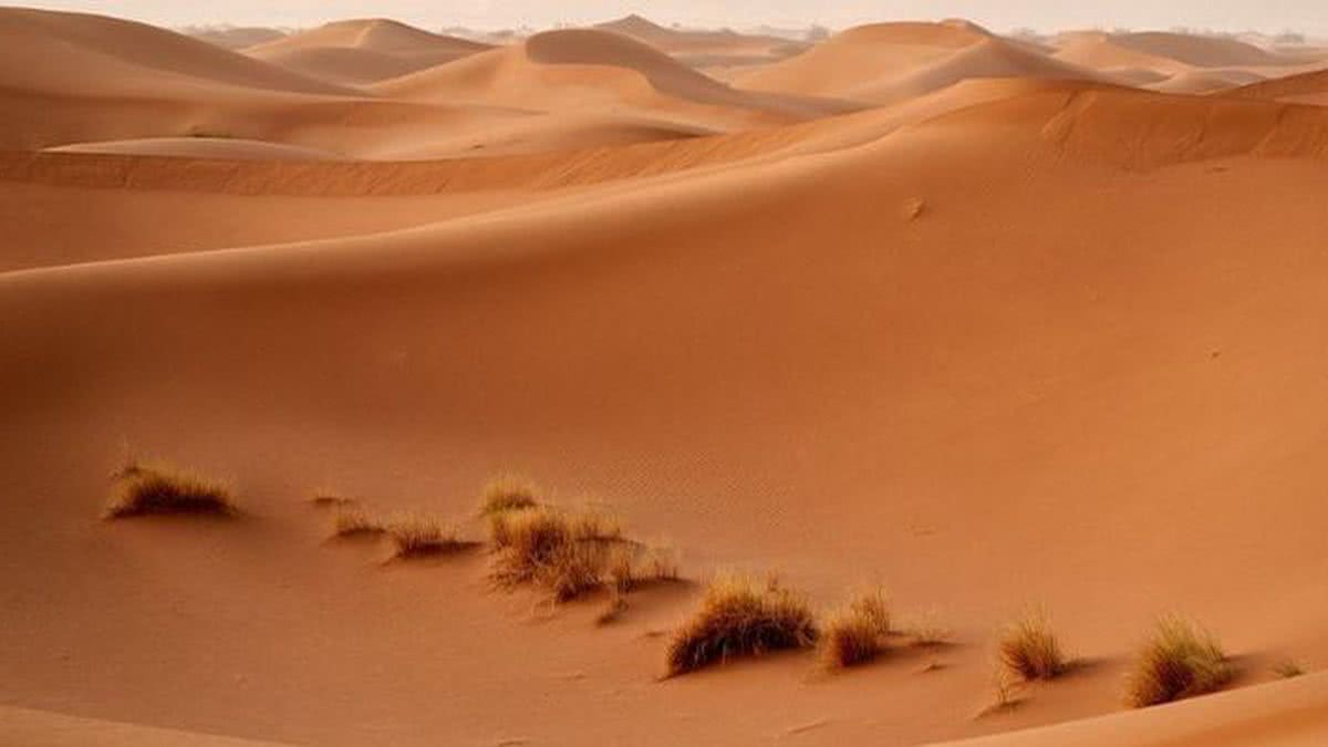 A areia movediça realmente existe?