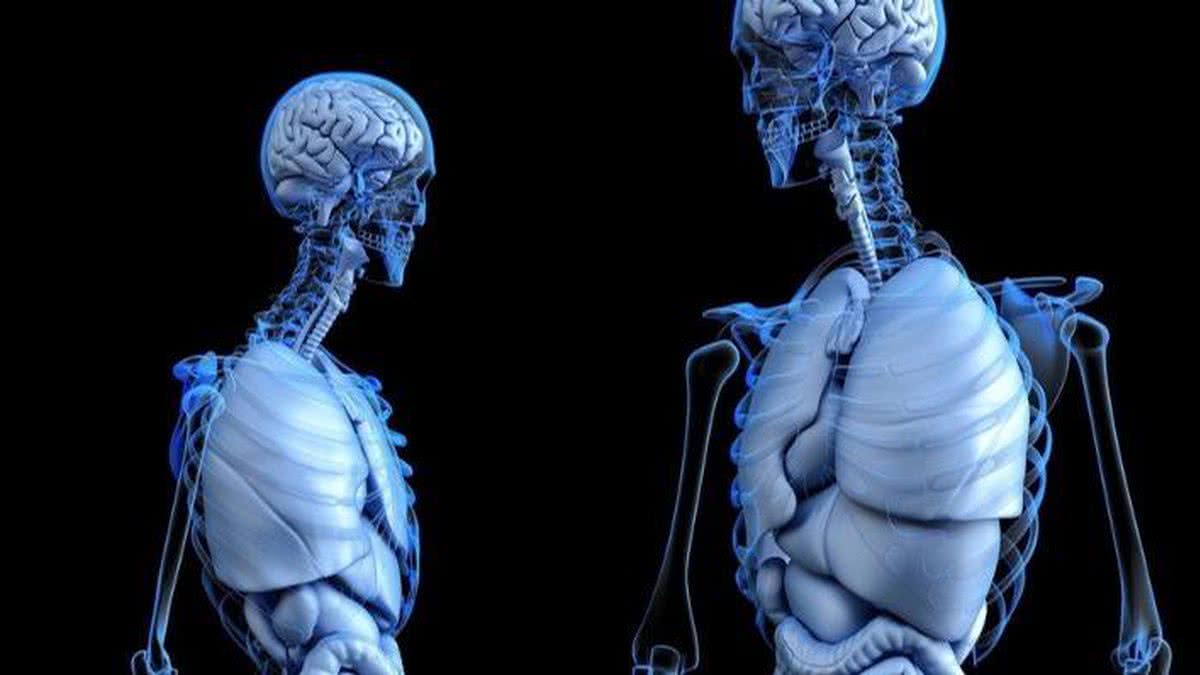 10 mitos detonados sobre o corpo humano