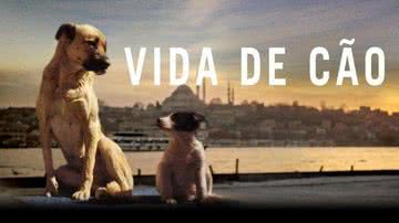 Imagem promocional do documentário 'Vida de Cão' - Divulgação/Synapse Distribution