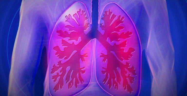 Imagem ilustrativa do pulmão - Pixabay