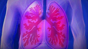 Imagem ilustrativa do pulmão - Pixabay