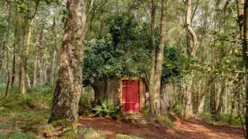 Casa do Ursinho Pooh está disponível para aluguel em Airbnb; confira fotos - Divulgação