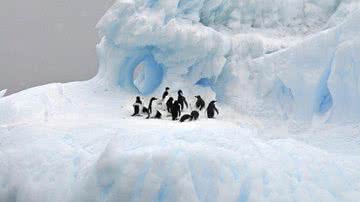 Paisagem da Antártida - Pixabay