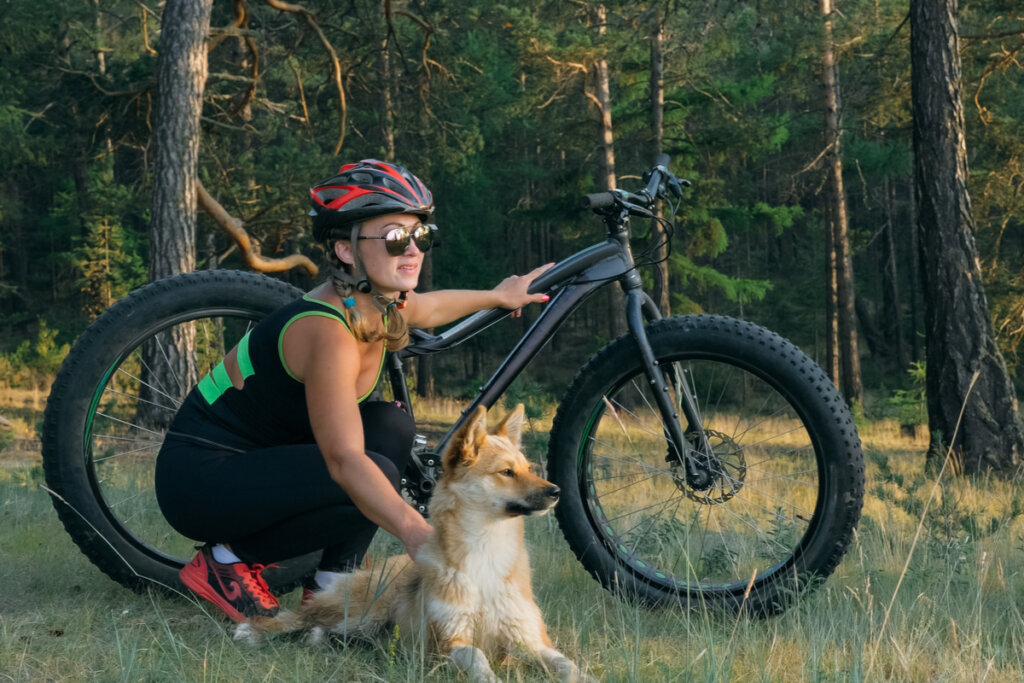 5 consejos sobre qué hacer cuando el perro comienza a perseguirte a ti y a tu bicicleta